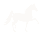 MV_Horse-White